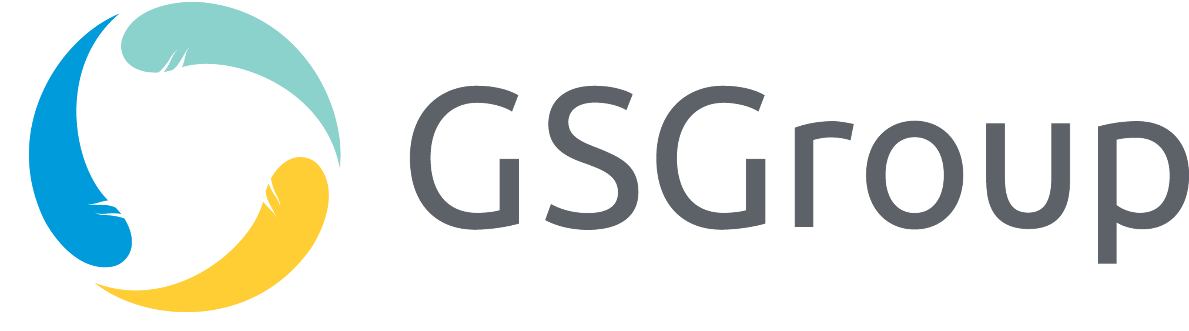 GSGroup logo